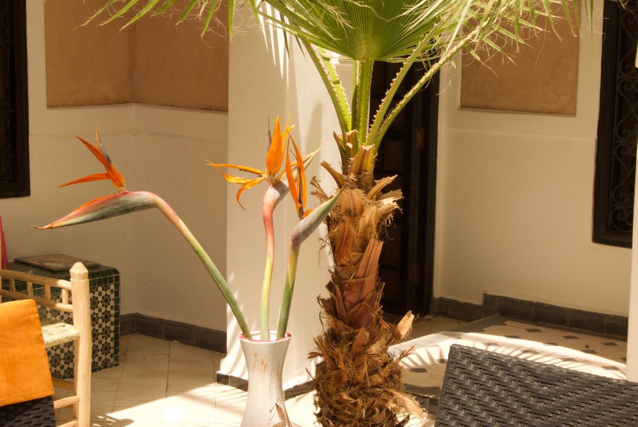 Riad Rockech Marrakesh Eksteriør bilde